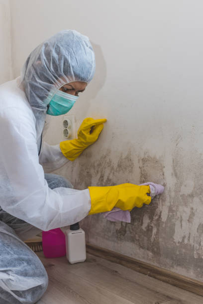 Best Post-Remediation Verification Testing  in Sistersville, WV