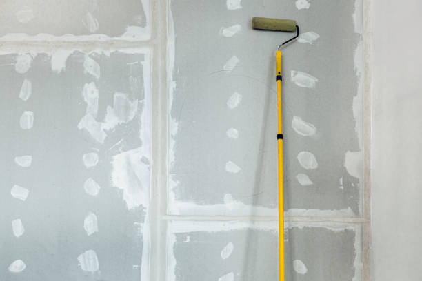 Best Mold Documentation for Insurance Claims  in Sistersville, WV