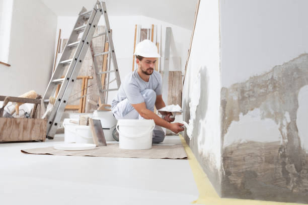 Forensic Mold Investigation in Sistersville, WV