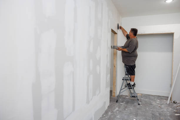 Best Residential Mold Inspection & Testing  in Sistersville, WV