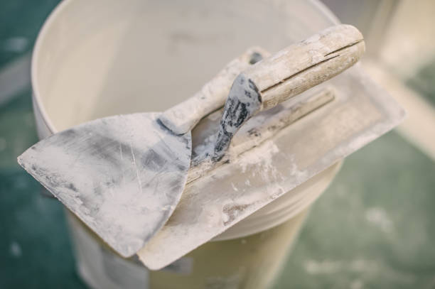 Best Attic Mold Removal  in Sistersville, WV