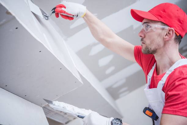 Trusted Sistersville, WV Mold Removal Experts