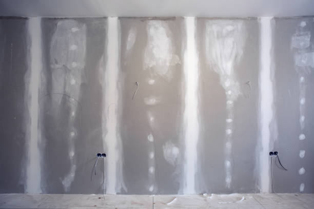 Best Comprehensive Air Testing for Mold Contaminants  in Sistersville, WV